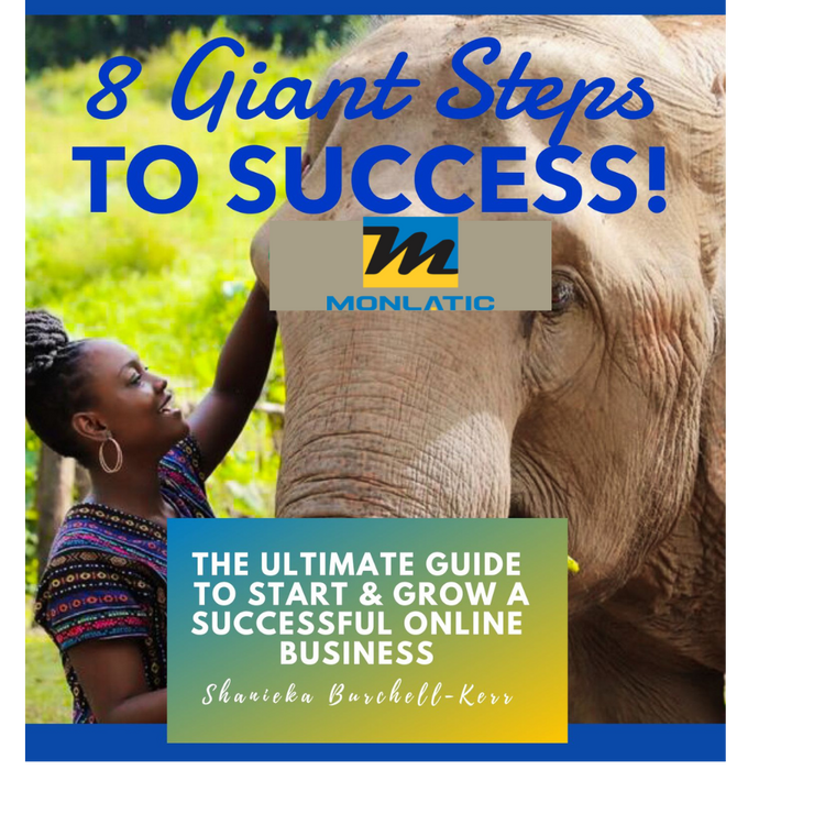8 Giant Steps to Success Book